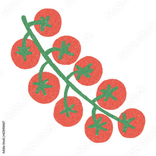 Food Vegetable Tomatoes Illustration Hand Drawn Decorative Doodles