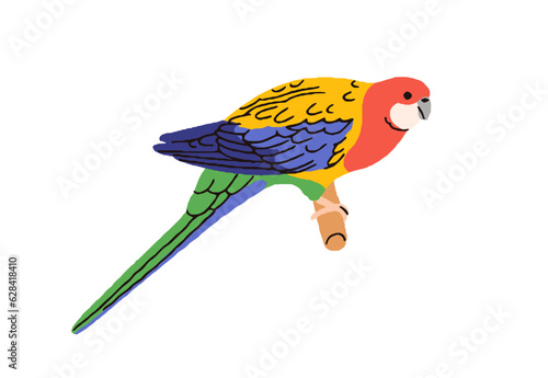 Eastern rosella, cute colorful parrot. Exotic tropical parakeet. Jungle bird ...