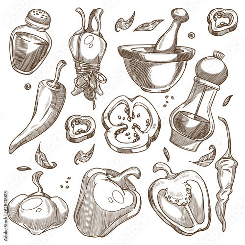 Organic pepper mix, natural spices for food sketch
