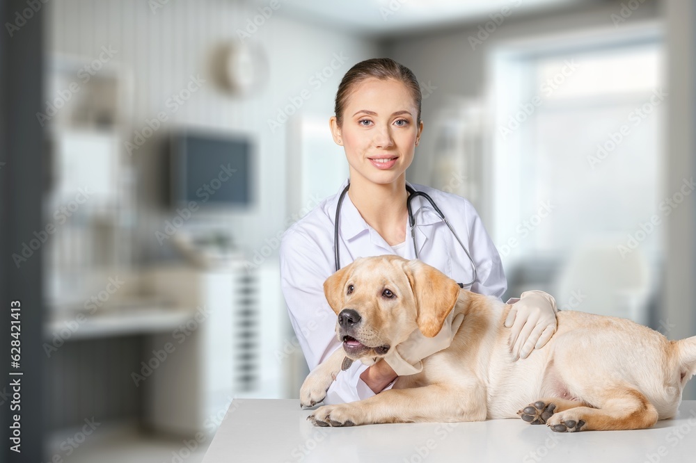 Young Veterinarian Petting a Dog in clinic, AI generated image