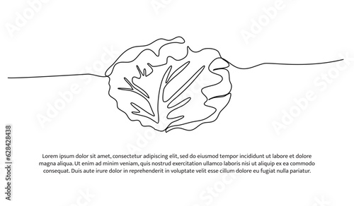 Cabbage one continuous line design. Vegetable symbol design concept. Decorative elements drawn on a white background.