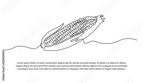 One continuous line design of corn. Decorative elements drawn on a white background.