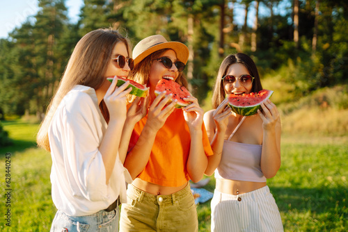 Group of smiling best friends have fun and eat watermelon on a hot summer day at a picnic. Three friends are relaxing and enjoying nature. The concept of vacation  picnic  friendship.