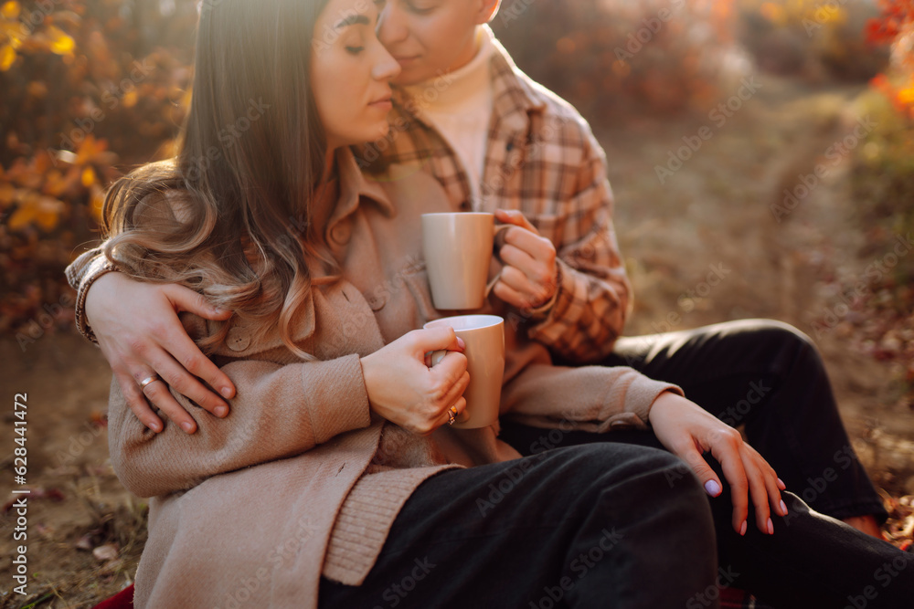 Happy and young couple walks in a beautiful autumn park, enjoys the beautiful weather. Pregnant married couple resting together in nature. Vacation, lifestyle concept. Happy and young couple walks in a beautiful autumn park, enjoys the beautiful weather. Pregnant married couple resting together in nature. Vacation, lifestyle concept.