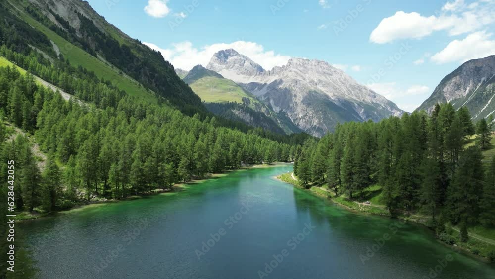 Lake branch with trees and mountains. Graubunden, Switzerland. Drone's forward view Lake branch with trees and mountains. Graubunden, Switzerland. Drone's forward view