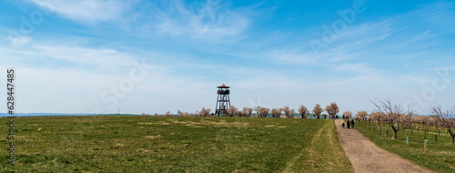 Blossoming almond trees orcgrad wiith lookout tower and meadow above Hutsopece town in Czech republic photo