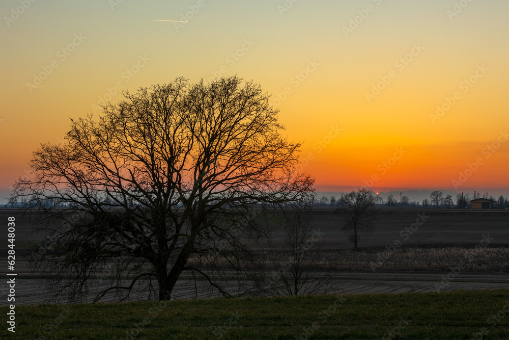 Tramonto in Campagna Novara, Piemonte