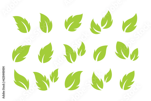 set of bright green green leaves vector illustration