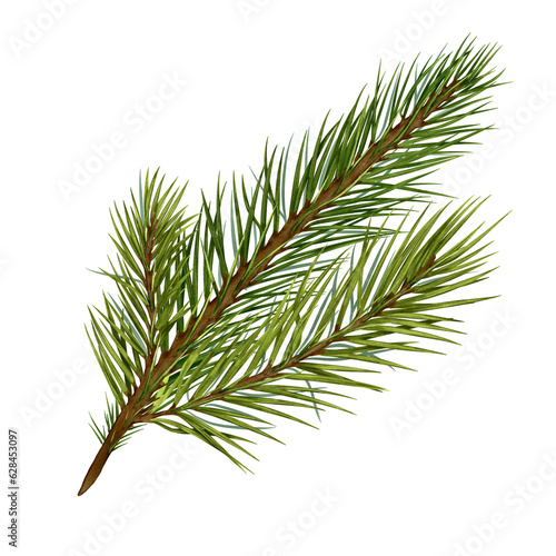 Pine branch digital watercolor style illustration isolated on white background. Cedar tree, conifer hand drawn. Element for design Christmas invitation, card, new year design, holiday print