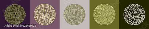 Diffusion Reaction Vector Circular Shape. Black and White Organic Shapes, Lines Pattern. Abstract Illustration