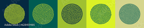 Diffusion Reaction Vector Circular Shape. Black and White Organic Shapes, Lines Pattern. Abstract Illustration