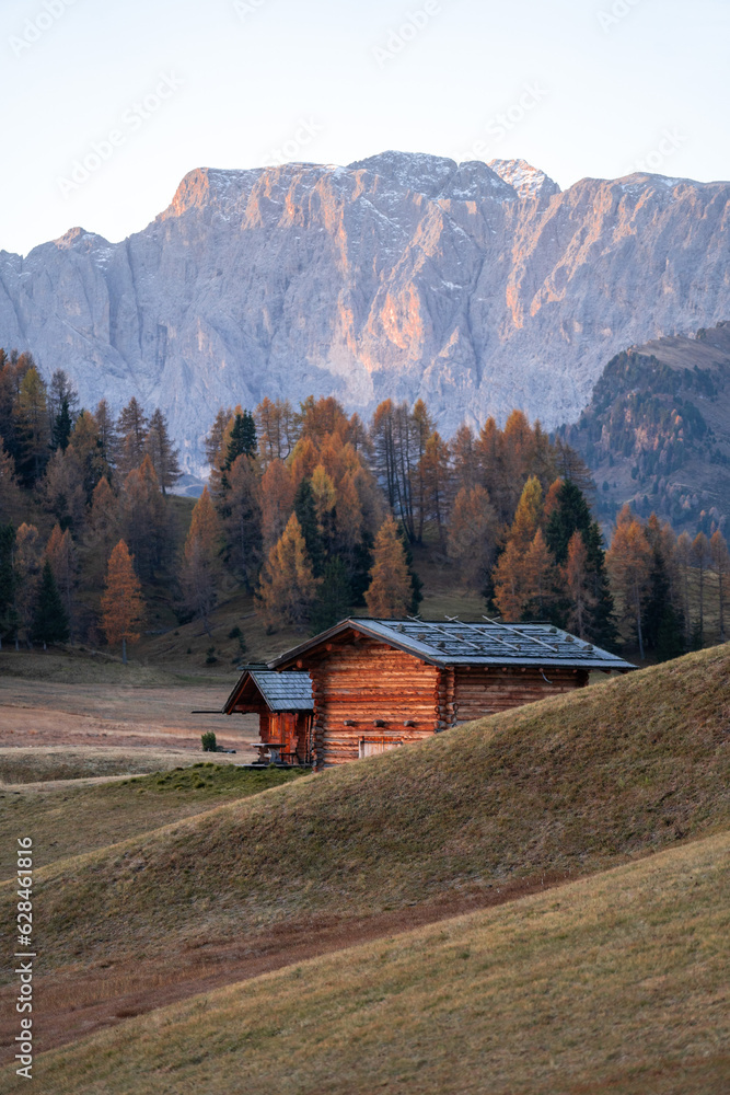 Autumn landscape at Alpe di Siusi sunrise in The Dolomites South Tyrol Italy