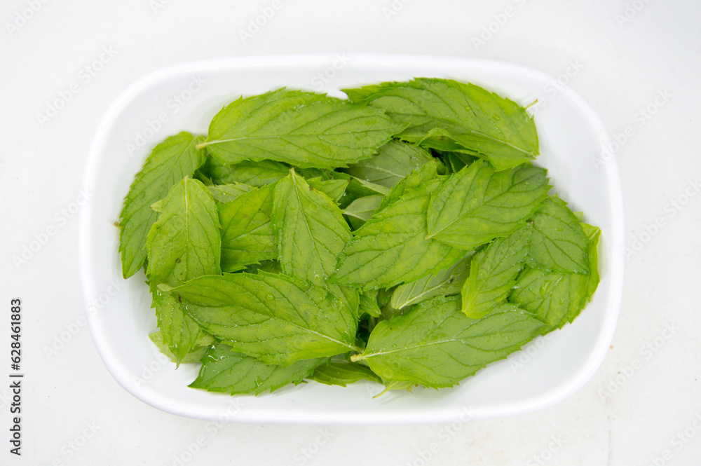 Turkish appetizer served with fresh mint leaves Turkish appetizer served with fresh mint leaves