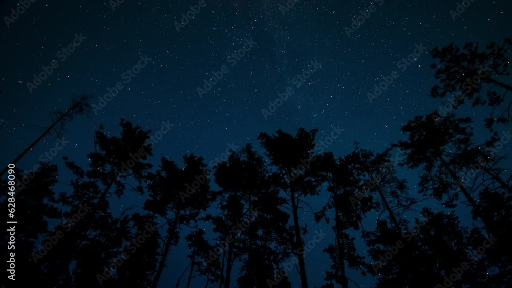 Timelapse of The Milky Way galaxy moves above the silhouettes of trees Timelapse of The Milky Way galaxy moves above the silhouettes of trees