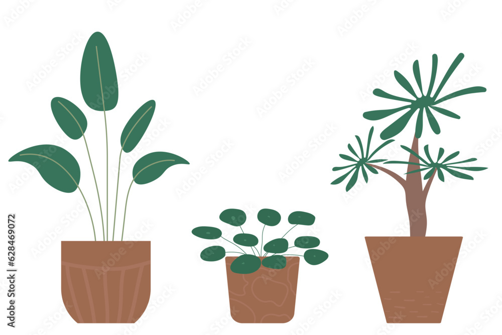 Set of palm trees in a pot. Home furnishings in a modern style. Isolated vector icons Set of palm trees in a pot. Home furnishings in a modern style. Isolated vector icons