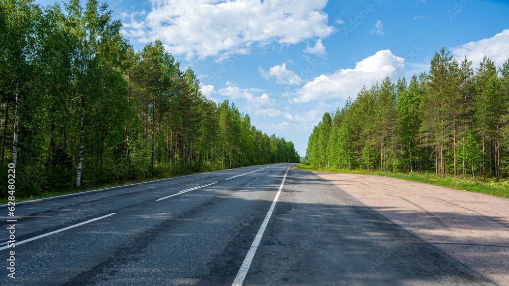 Empty asphalt road in the coniferous forest Empty asphalt road in the coniferous forest
