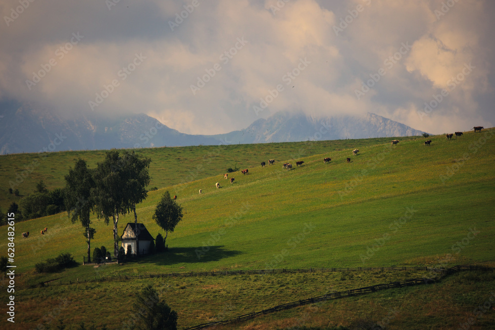 Tatry