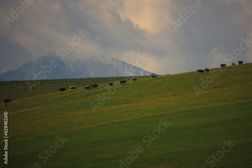 Obraz na płótnie tatry w salonie