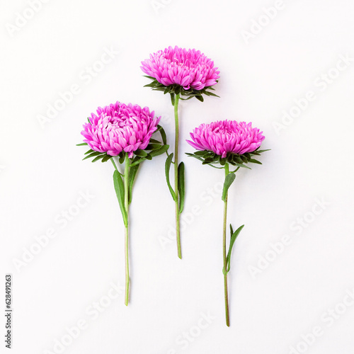 Bright cute bouquet of asters isolated on white background