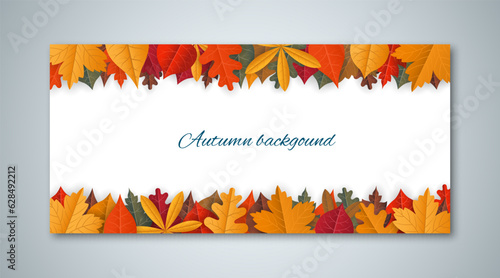 Autumn background with fallen leaves. Vector illustration