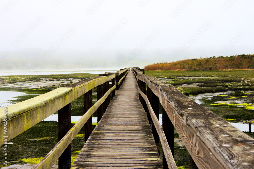 Obraz premium Kirby Park Mossy Bridge with foggy sky