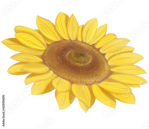Fototapeta Naklejka Na Ścianę i Meble -  sunflower isolated on white