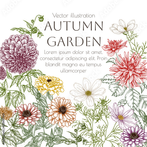 Fotografi Vector illustration of autumn garden