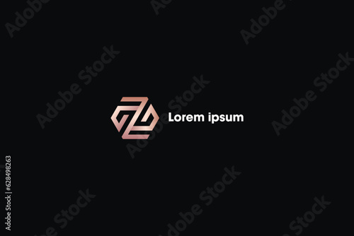 zg lettering brand design modern style creative golden wordmark design typography illustration, zg line style logo vector
