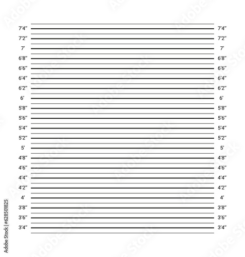 Mug shot police board. Identification frame for crime. Criminal mugshot background with lines in inches. Wall measurements template for wanted picture. Lineup arrest backdrop. Vector illustration.