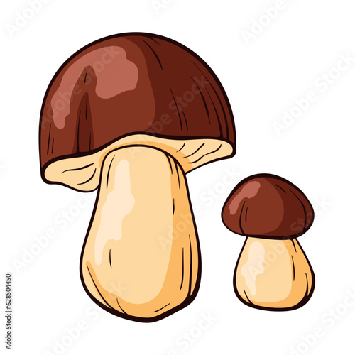 Mushroom boletus in cartoon style. Sketch hand drawn food drawing. Vector illustration isolated on a white background.