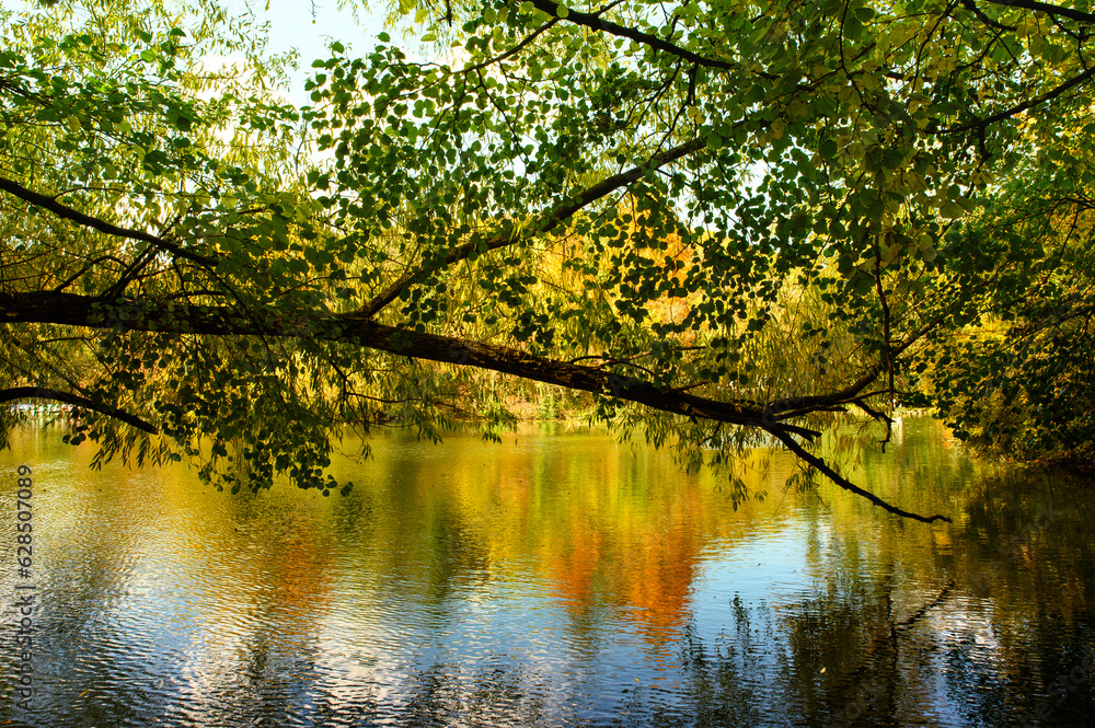 Fototapeta premium autumn in the park with reflection