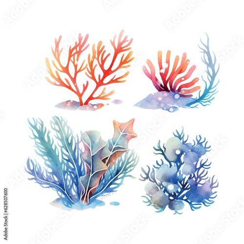 Seaweed watercolor. Vintage botanical illustration. Vector decoration. Hand drawn sketch.