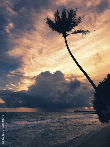 Sri Lanka Beach with Palm Tree and Dramatic Sky photo