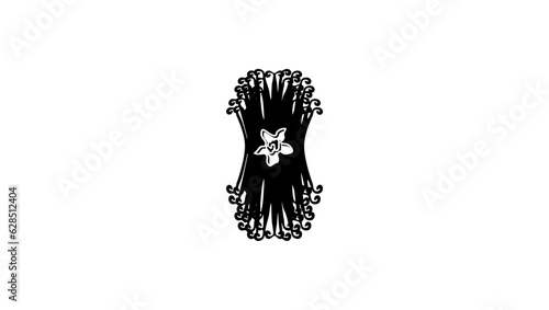 Vanilla flower with dried vanilla sticks