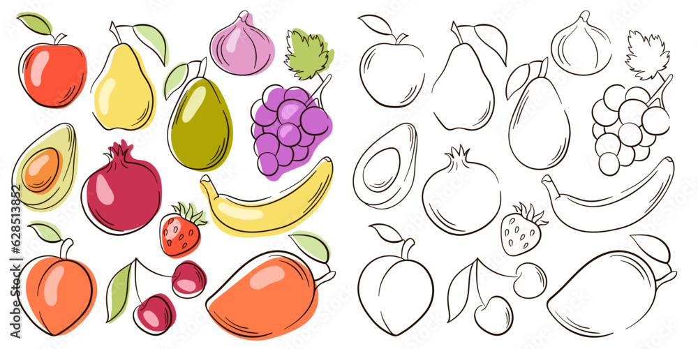 Fruit and berries collection in line art style. Illustration of colored and monochrome fruits for design farm product, menu, restaurants, vegetarian shop. Vector illustration isolated on a white