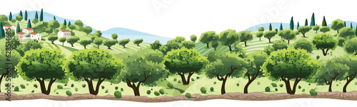 olive grove vector simple 3d smooth cut and paste isolated illustration