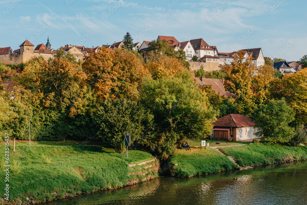Fototapeta premium Autumn Landscape - River And Shores With Trees, Bushes And City Houses Marbach Am Neckar. Panoramic Aerial View Of The River In A City Park. Deciduous Trees, Golden Leaves. Autumn Landscape. Ecology
