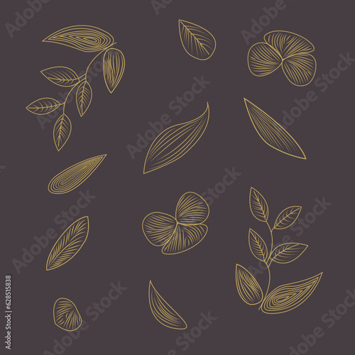 flowers and leaves vector vintage elements 