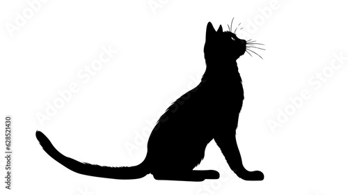 Sitting Cat