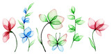 watercolor drawing, set of transparent flowers and leaves. abstract plants in blue and pink.