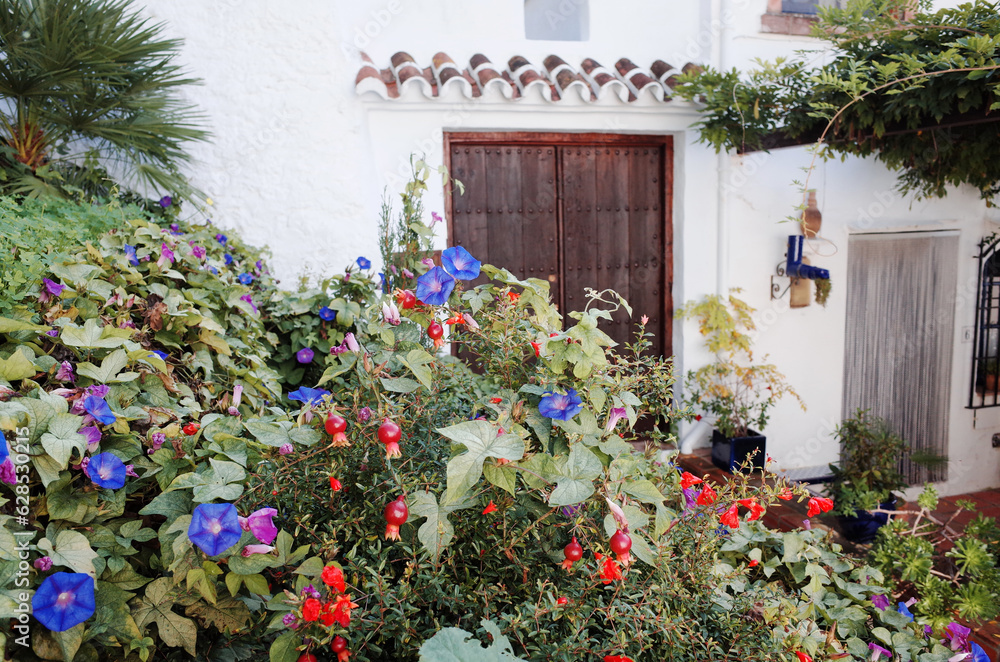 Obraz premium scene of frigiliana in spain