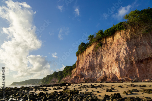 Fototapeta Naklejka Na Ścianę i Meble -  altas falésias vermelhas e dunas de areia cobertas com abundante flora na praia de Pipa, em Tibau do Sul, estado do Rio Grande do Norte, Brasil
