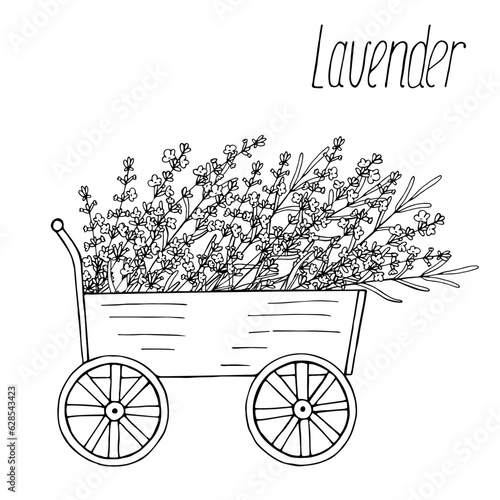 Lavender cart, vector floral black hand drawn isolated elements for design on white background