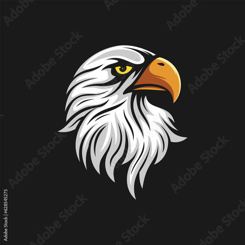 Vector Eagle Head Design Illustration