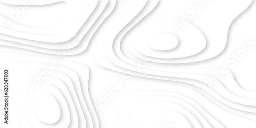 Abstract background vector and white abstract background 3d realistic design use for ads banner and advertising print design vector. 3d topography relief. Vector topographic illustration. 