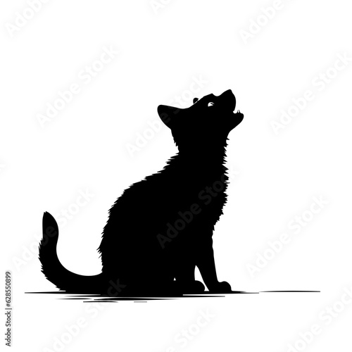 Sitting Cat Looking Up