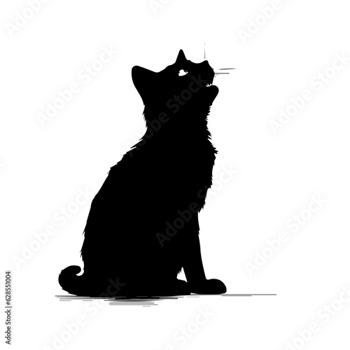 Sitting Cat Looking Up