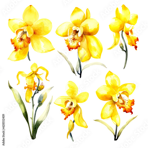 Set of yellow orchid floral watecolor. flowers and leaves. Floral poster  invitation floral. Vector arrangements for greeting card or invitation design 