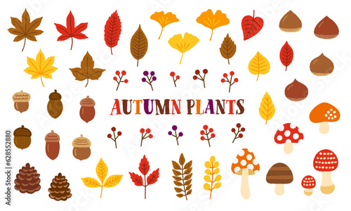 秋の植物の手書きベクターイラストセット／紅葉・イチョウ・どんぐり・栗・きのこ・赤い実