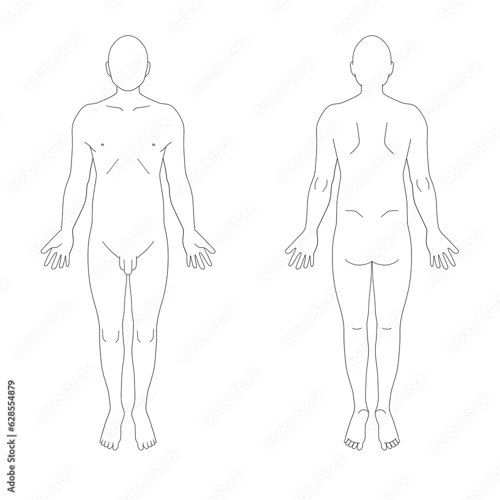 カルテ向け全身シェーマ図(男性) カルテ向け全身シェーマ図(男性)
